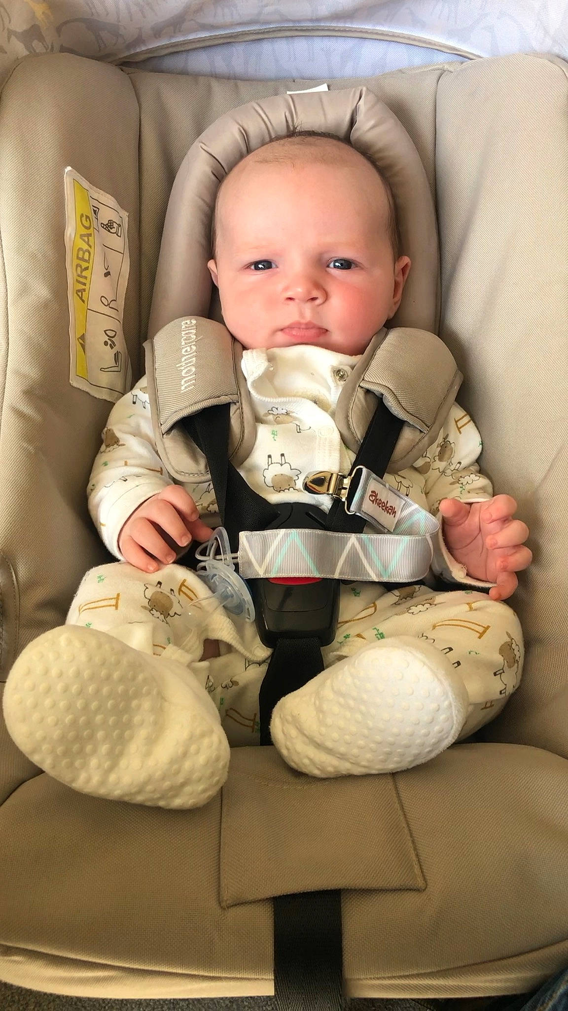 Bear joined the competition — help win amazing prizes! baby, baby_in_car_seat, baby_products, child, comfort, person, product, toddler