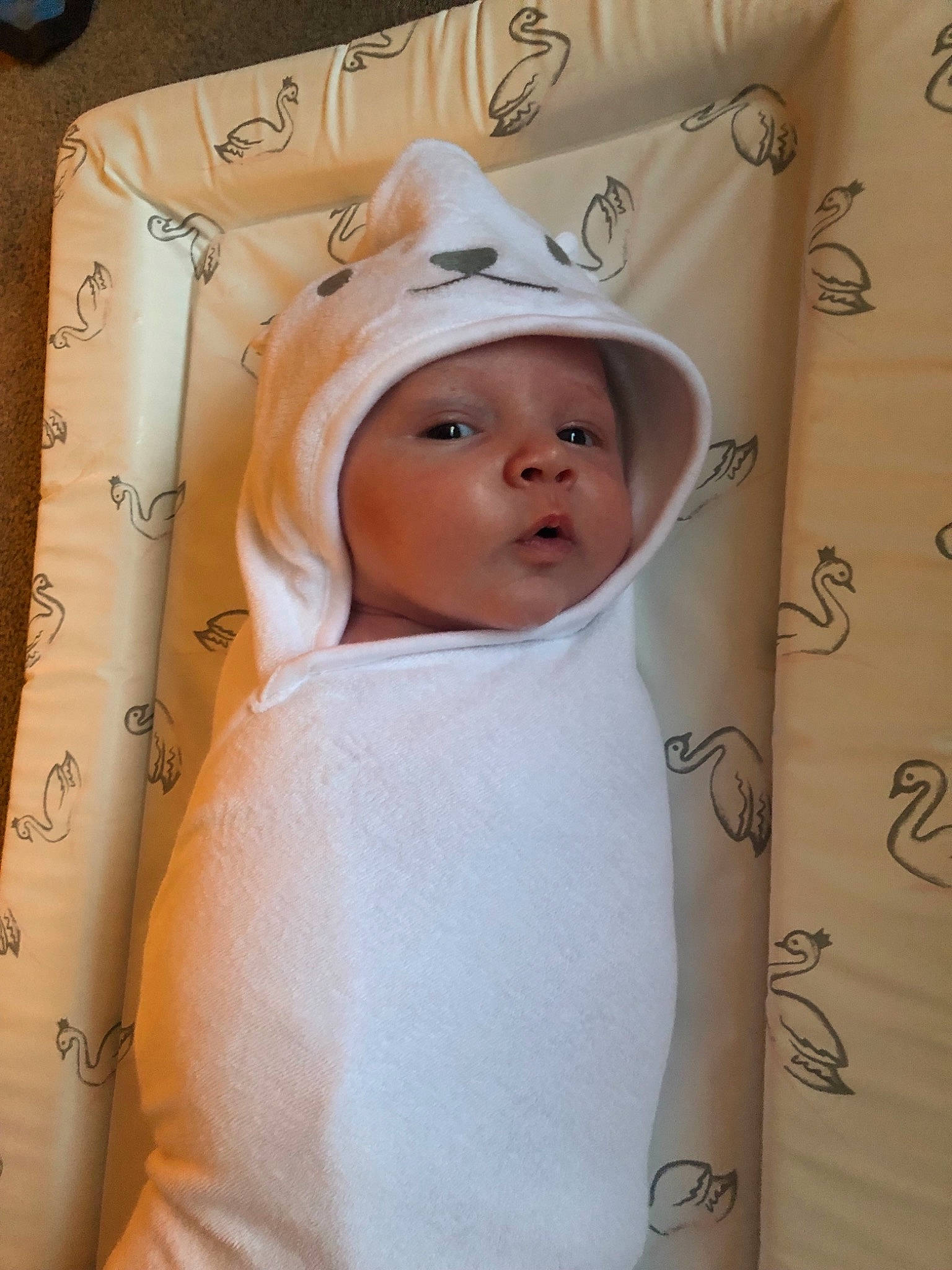 Bear joined the competition — help win amazing prizes! baby, baby_products, cheek, child, headwear, person, product, toddler