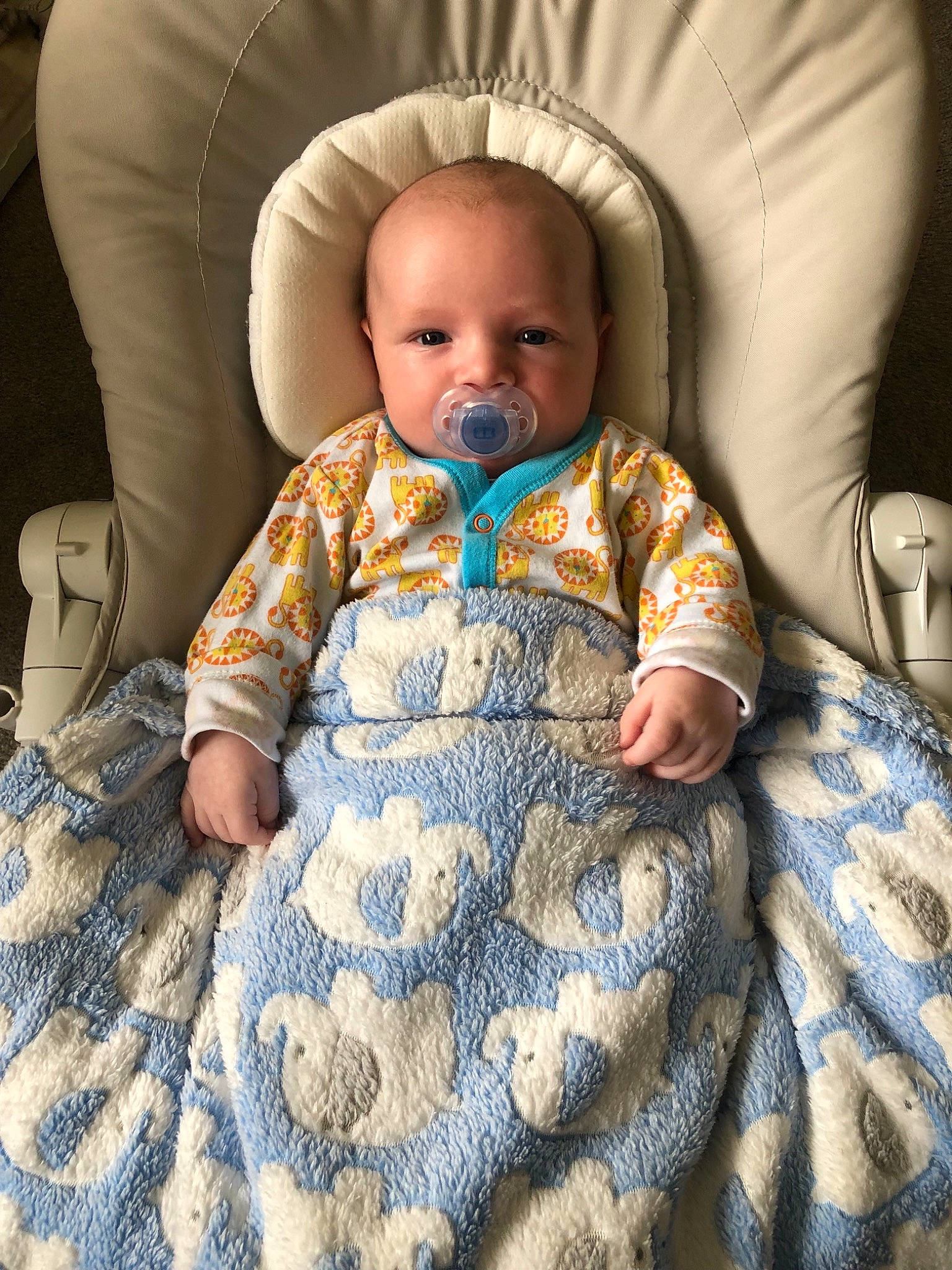 Bear joined the competition — help win amazing prizes! baby, child, comfort, person, toddler