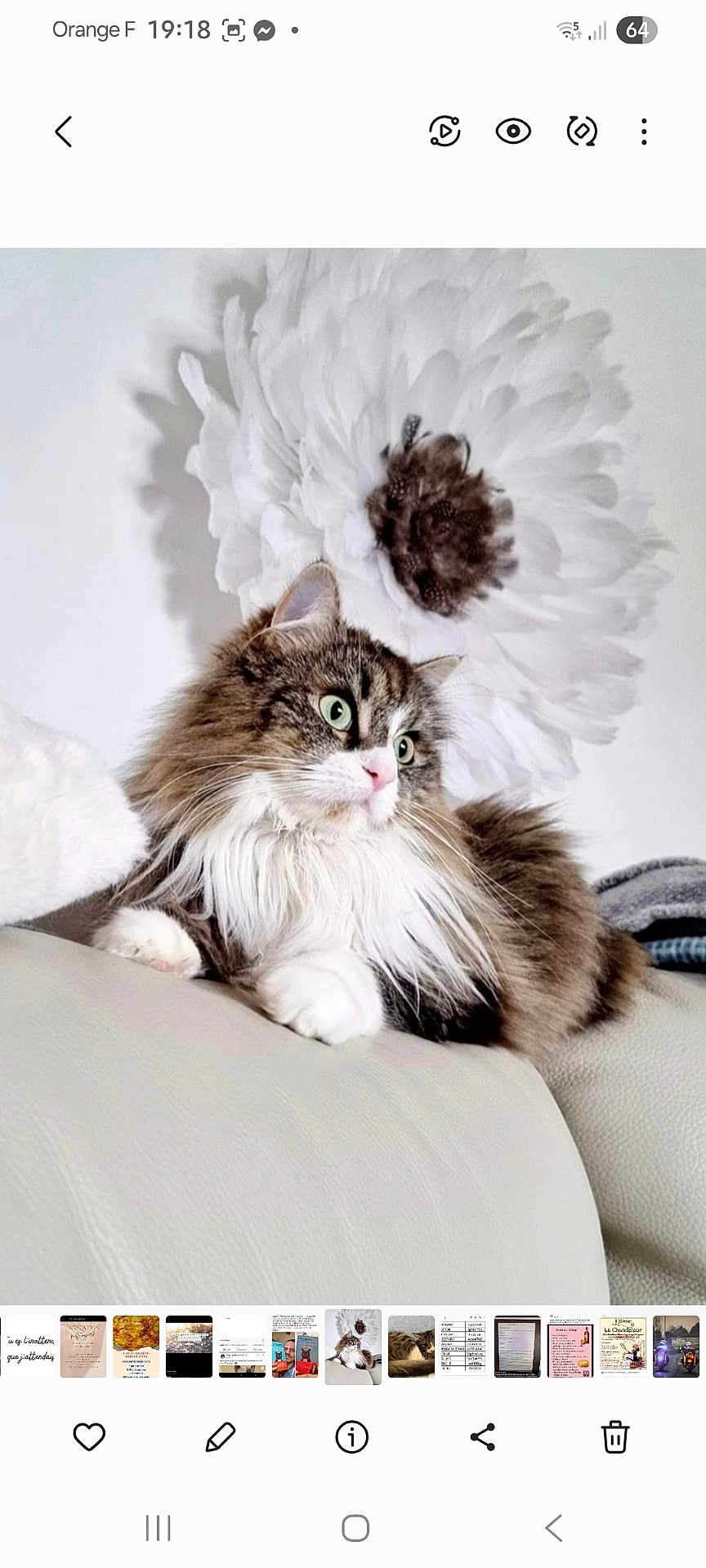 Mila