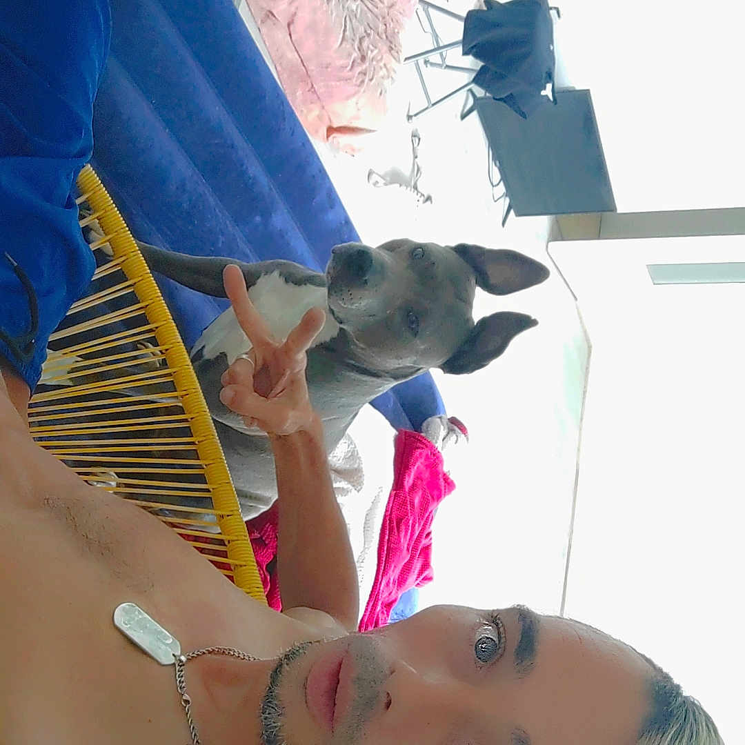 Nala a rejoint le concours — aidez-le/la à gagner de superbes lots ! blue_shorts, casual, chain_necklace, chair, dog, earrings, floor, furniture, home, indoor, inflatable_mattress, light, man, peace_sign, pet, pink_blanket, portrait, relaxing, shirtless, window