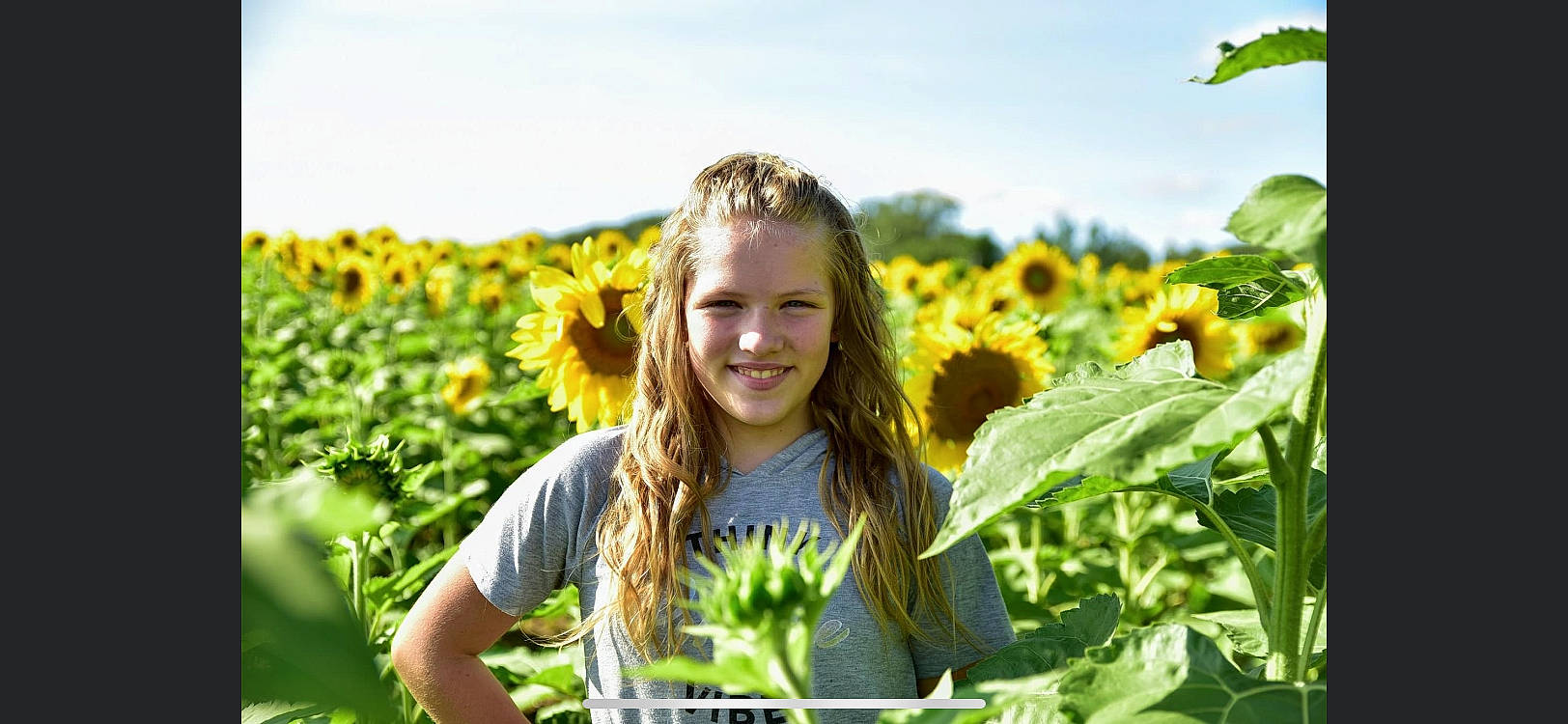 Courtney is registered to the contest to win money with this photo: agriculture, basket, blond, brown_hair, cash_crop, crop, farm, field, happy, joy, long_hair, meadow, people_in_nature, person, plantation, prairie, spring, summer, sunflower, wildflower
