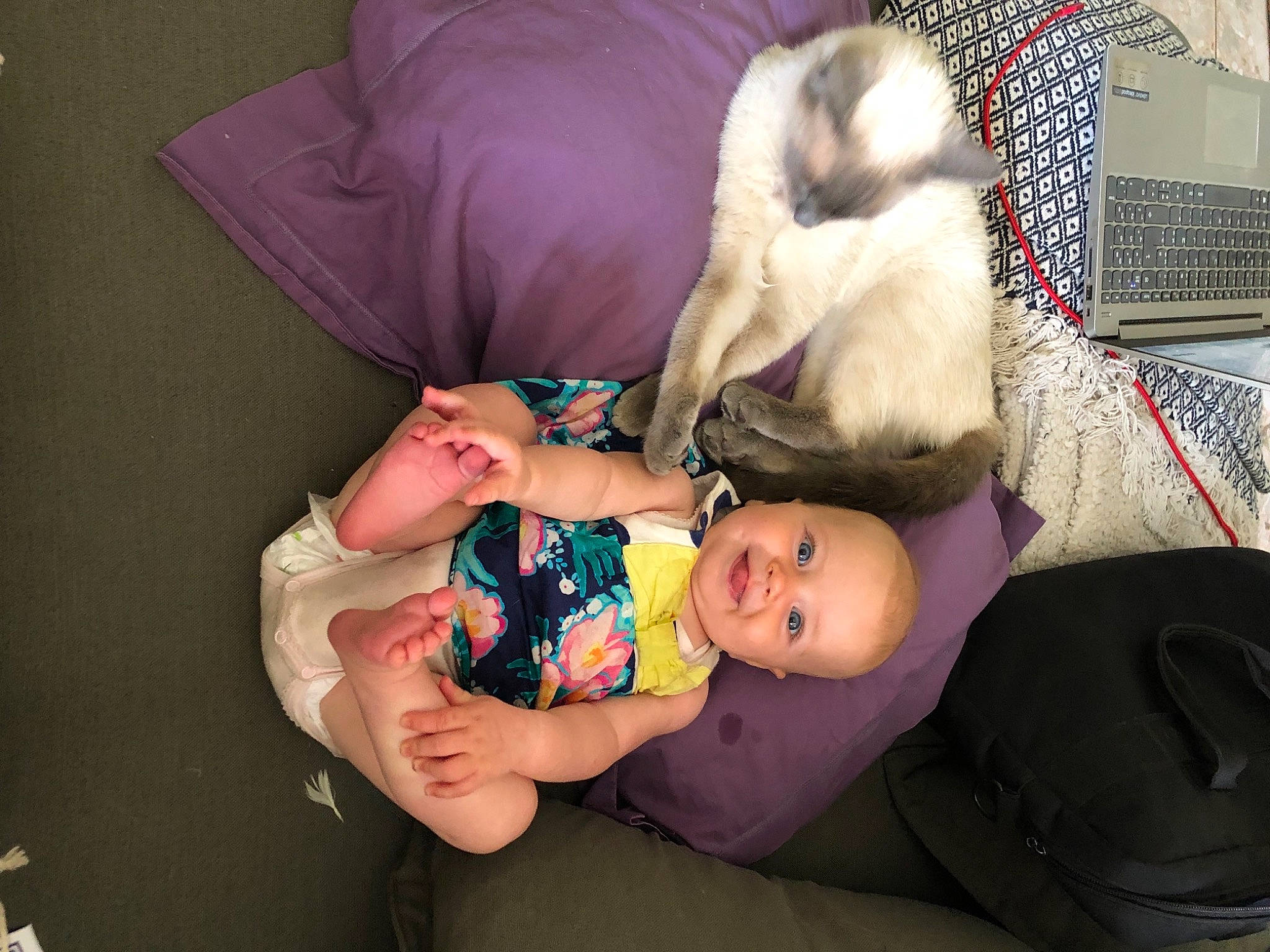 Axelle participe au concours pour gagner de l'argent avec cette photo : arm, baby, baby_products, baby_toddler_clothing, carnivore, cheek, child, comfort, companion_dog, felidae, fur, hand, hat, joy, lap, people, person, sitting, skin, small_to_medium_sized_cats