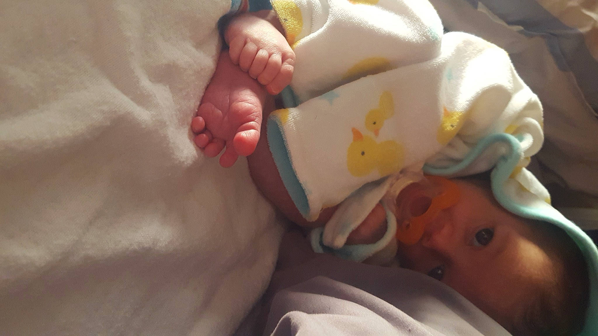 Evelyn joined the competition — help win amazing prizes! arm, baby, barefoot, child, comfort, finger, foot, gesture, hand, human_body, human_leg, joint, leg, nail, person, product, skin, textile, thumb, toddler