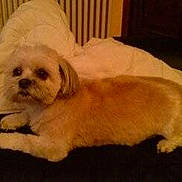 Crunchy participe au concours pour gagner de l'argent avec cette photo :