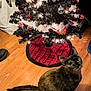 cat, tortoiseshell_cat, christmas_tree, holiday_decor, ornaments, lights, tree_skirt, wooden_floor, indoor, pet, animal, festive, curious, looking_up, black, white, red, silver, decorations, cozy