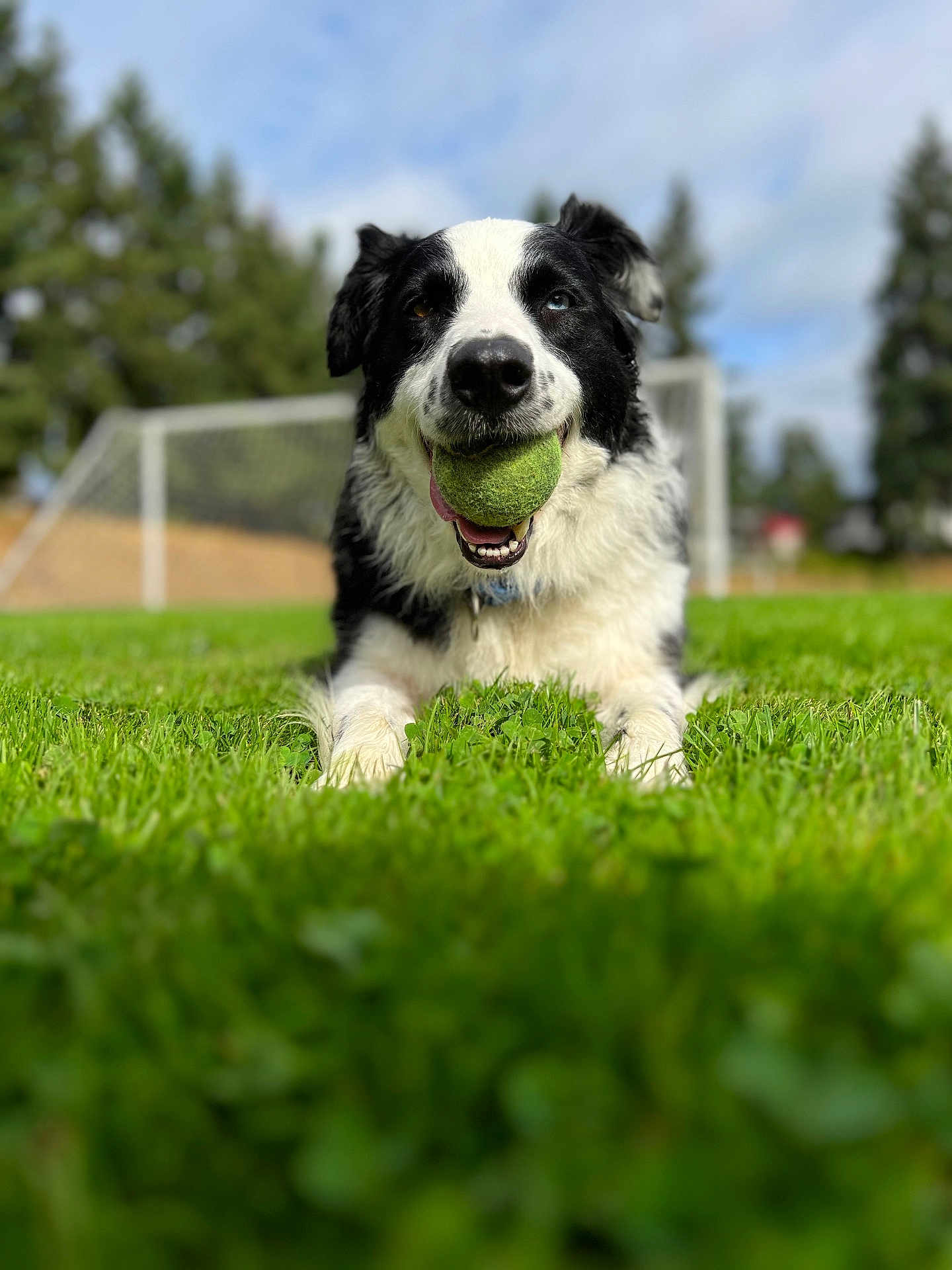Luna