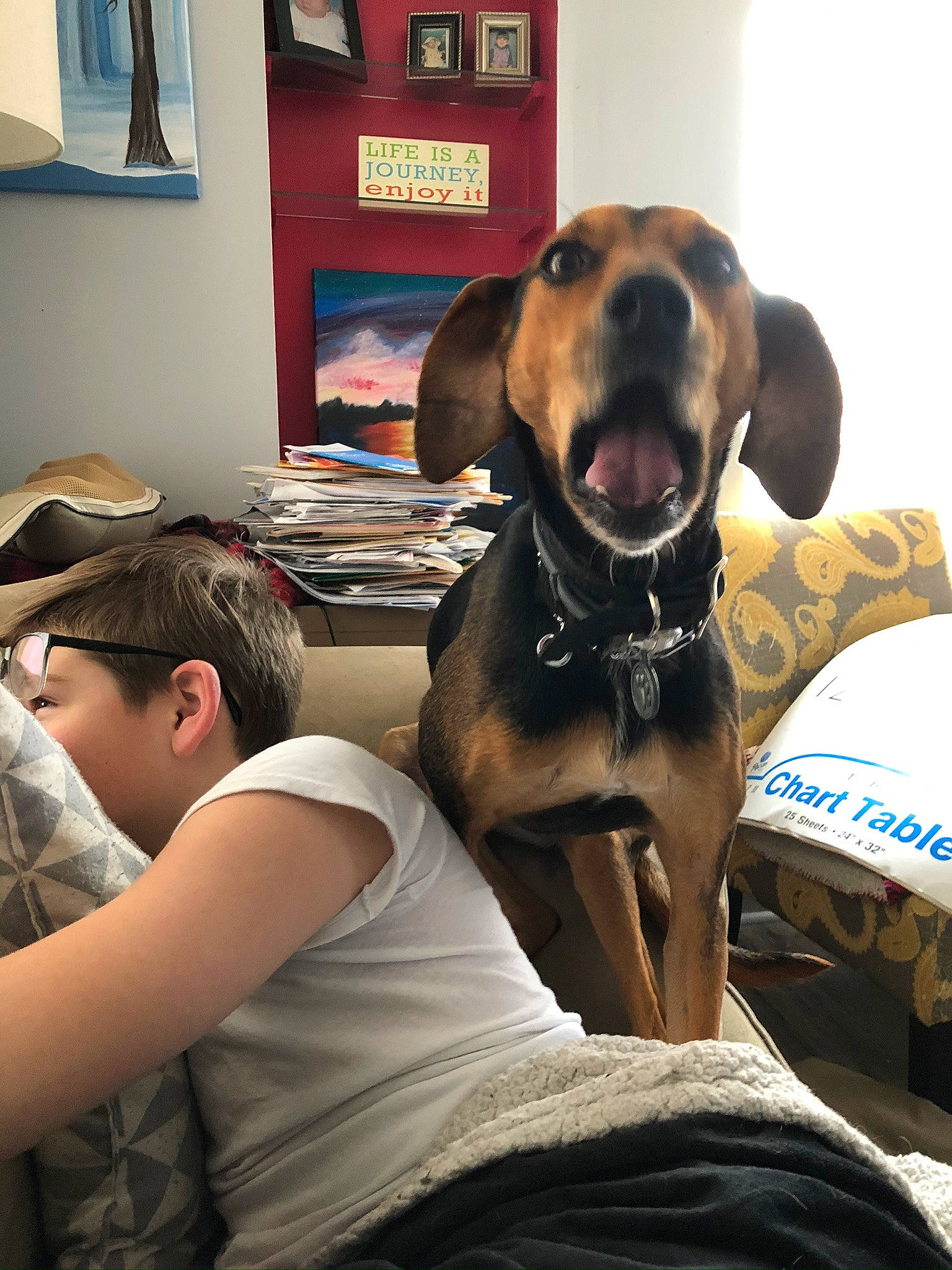 Ivy Blu is registered to the contest to win money with this photo: canidae, carnivore, coonhound, dog, dog_breed, fawn, snout