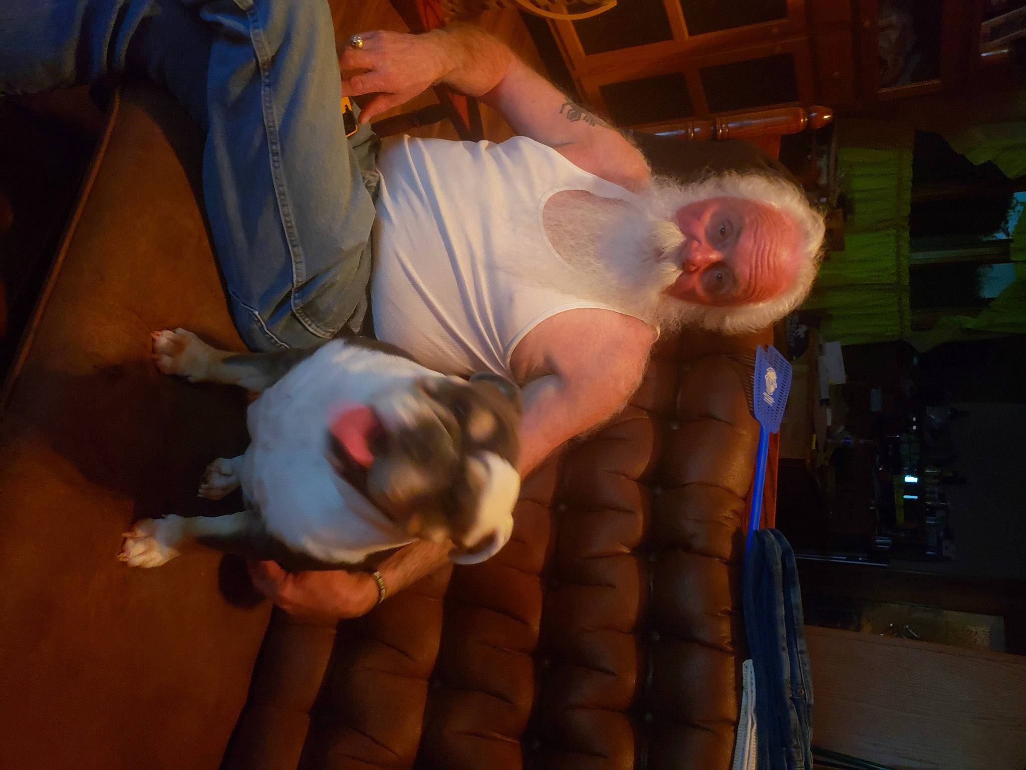 Elsie Mae Anderson joined the competition — help win amazing prizes! abdomen, chest, comfort, companion_dog, dog, dog_breed, elbow, fawn, flesh, flooring, fun, human_leg, knee, room, tail, thigh, trunk, wood