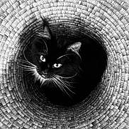 Uggy a rejoint le concours — aidez-le/la à gagner de superbes lots ! cat, black_cat, whiskers, basket, woven, circular_pattern, pet, animal, fur, eyes, looking_up, texture, black_and_white, close_up, domestic_cat, indoor, cute, feline, cozy, pattern