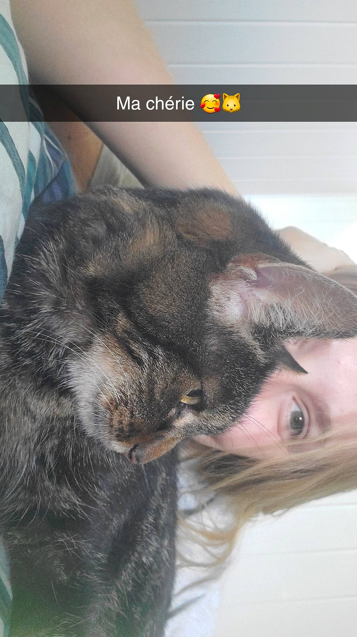 Malice participe au concours pour gagner de l'argent avec cette photo : canidae, carnivore, claw, comfort, companion_dog, dog, dog_breed, ear, felidae, fur, gesture, jaw, mammal, nose, paw, small_to_medium_sized_cats, snout, sporting_group, whiskers, working_animal