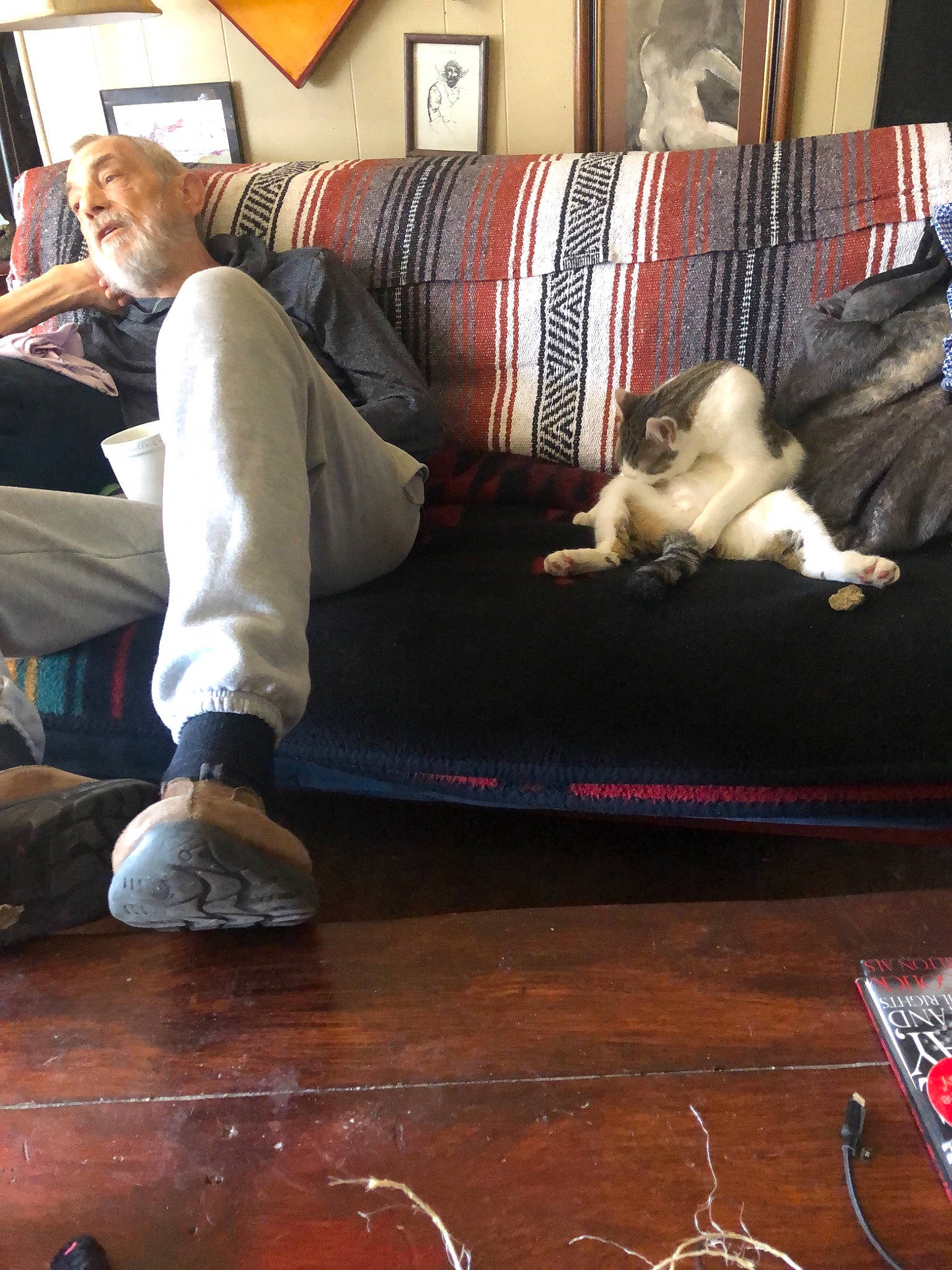 Diego is registered to the contest to win money with this photo: bookcase, carnivore, cat, comfort, companion_dog, couch, felidae, floor, flooring, hardwood, human_leg, interior_design, knee, lamp, lap, living_room, snapshot, studio_couch, thigh, wood