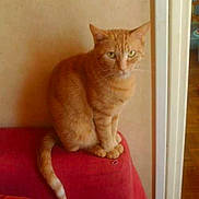 Gribouille participe au concours pour gagner de l'argent avec cette photo :