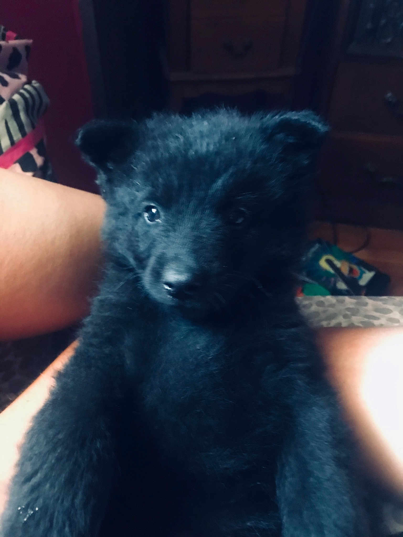 Charlie