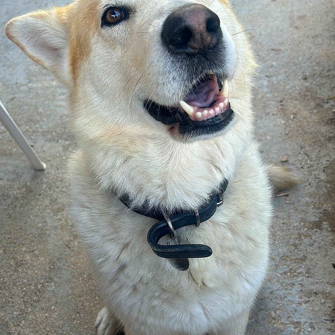 Manny