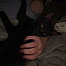 cat, black_cat, hand, blanket, person, petting, indoor, low_light, cozy, snoopy, pillow, animal, feline, relaxing, bed, comfort, sleepy, cute, domestic, companion