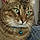 Jasper