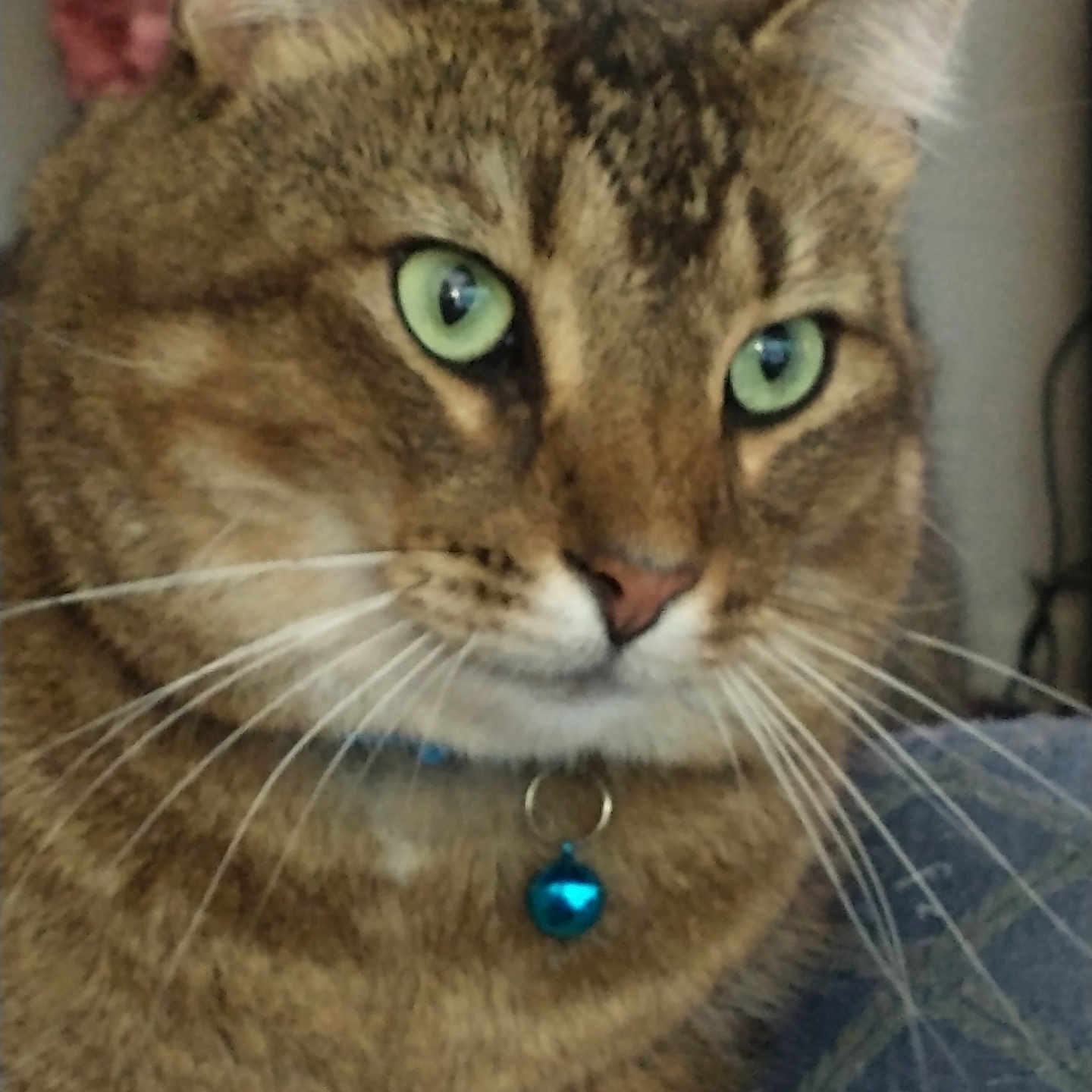Jasper