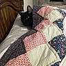 animal, bed, bedroom, black_cat, blanket, cat, curious, ears, eyes, face, hiding, home, indoor, patchwork, peeking, pet, pillow, quilt, whiskers, wooden_headboard