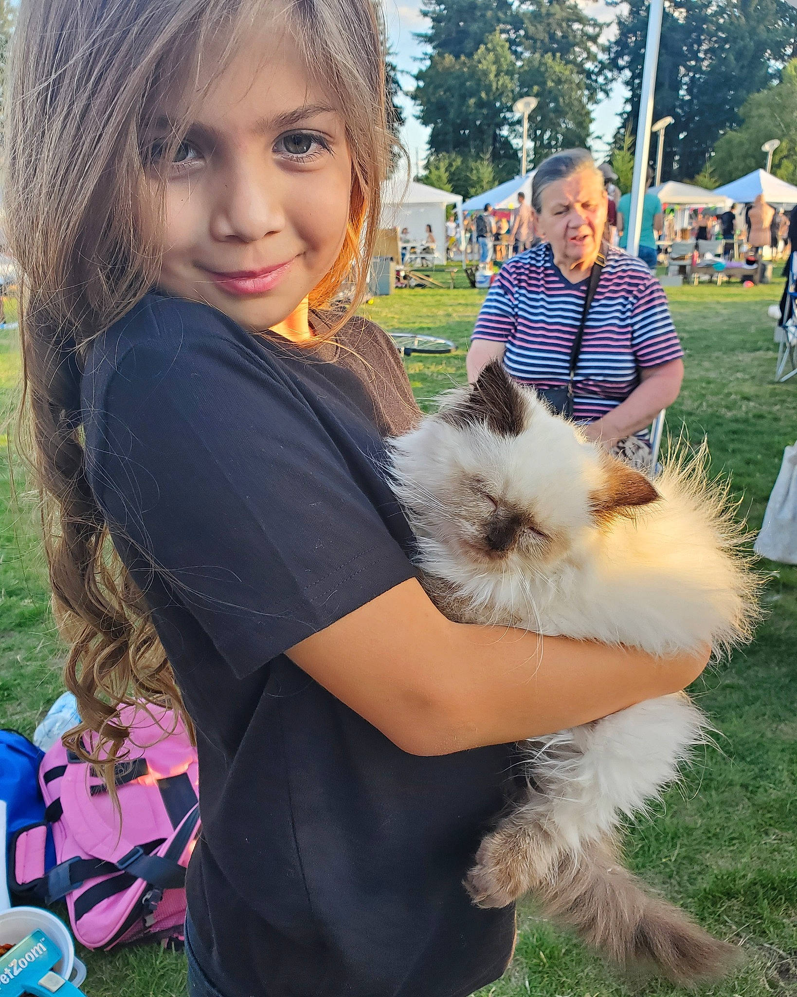 Leticia is registered to the contest to win money with this photo: canidae, carnivore, chinese_imperial_dog, companion_dog, dog, dog_breed, german_spitz_klein, german_spitz_mittel, joy, maltepoo, mammal, morkie, non_sporting_group, person, pomeranian, puppy, puppy_love, shih_tzu, spitz, toy_dog