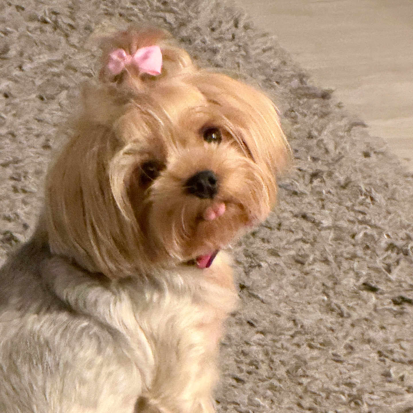 Minnie Grace