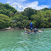 Sandy is registered to the contest to win money with this photo: dog, man, paddleboard, water, trees, mangroves, sky, clouds, outdoor, nature, sunny, greenery, calm_water, recreation, summer, leisure, pet, adult, standing, blue_sky