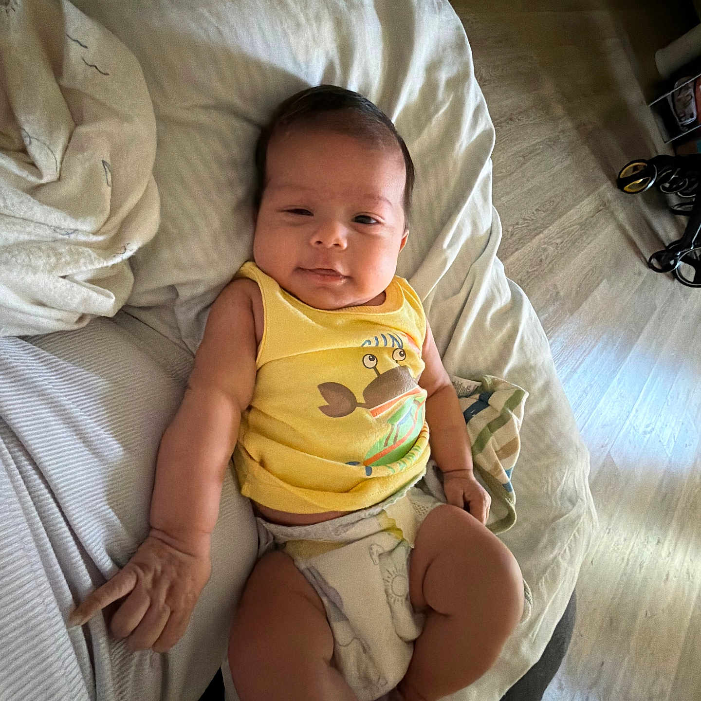 Noah Isaiah Santos is registered to the contest to win money with this photo: baby, infant, child, portrait, lying_down, bed, bedroom, blanket, pillow, yellow_shirt, diaper, face, smiling, indoors, sunlight, home, baby_clothing, rumpled_bedding, photography, cozy