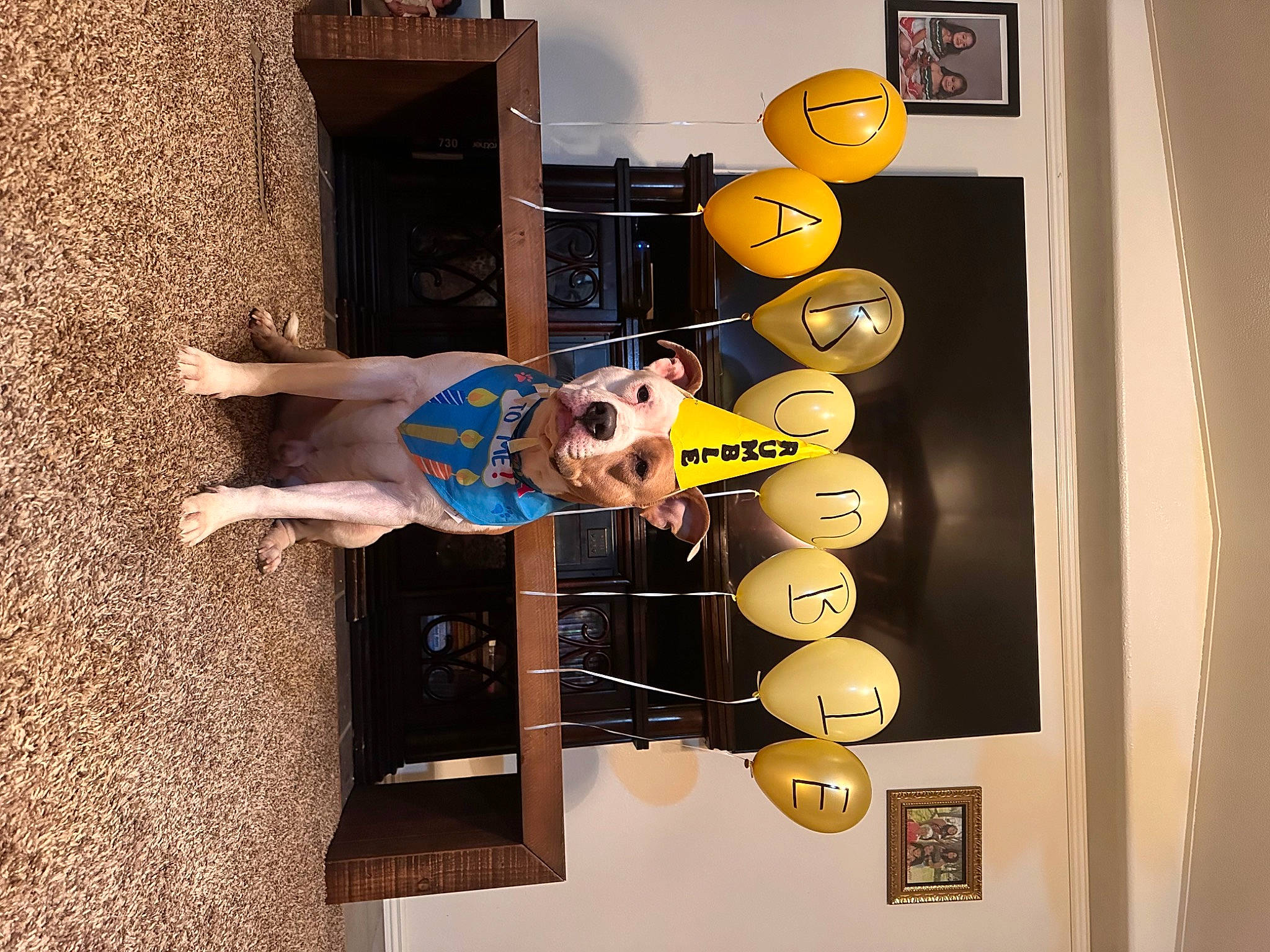 Rumble is registered to the contest to win money with this photo: art, building, door, facade, font, room, smile, visual_arts, window, wood, wrist