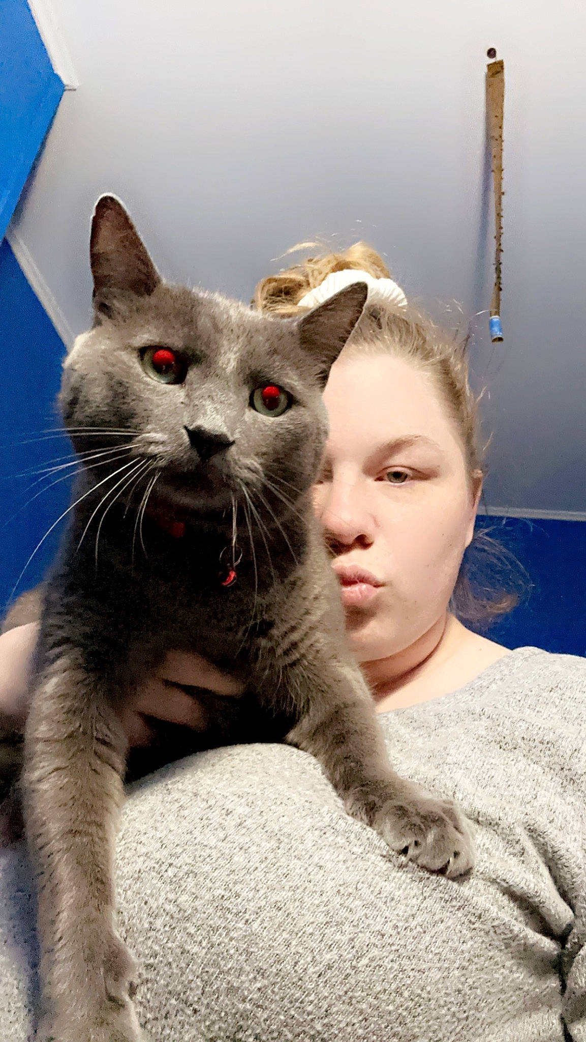 Smokey joined the competition — help win amazing prizes! carnivore, cat, claw, comfort, domestic_short_haired_cat, felidae, fur, gesture, grey, happy, paw, russian_blue, sitting, small_to_medium_sized_cats, snout, terrestrial_animal, whiskers