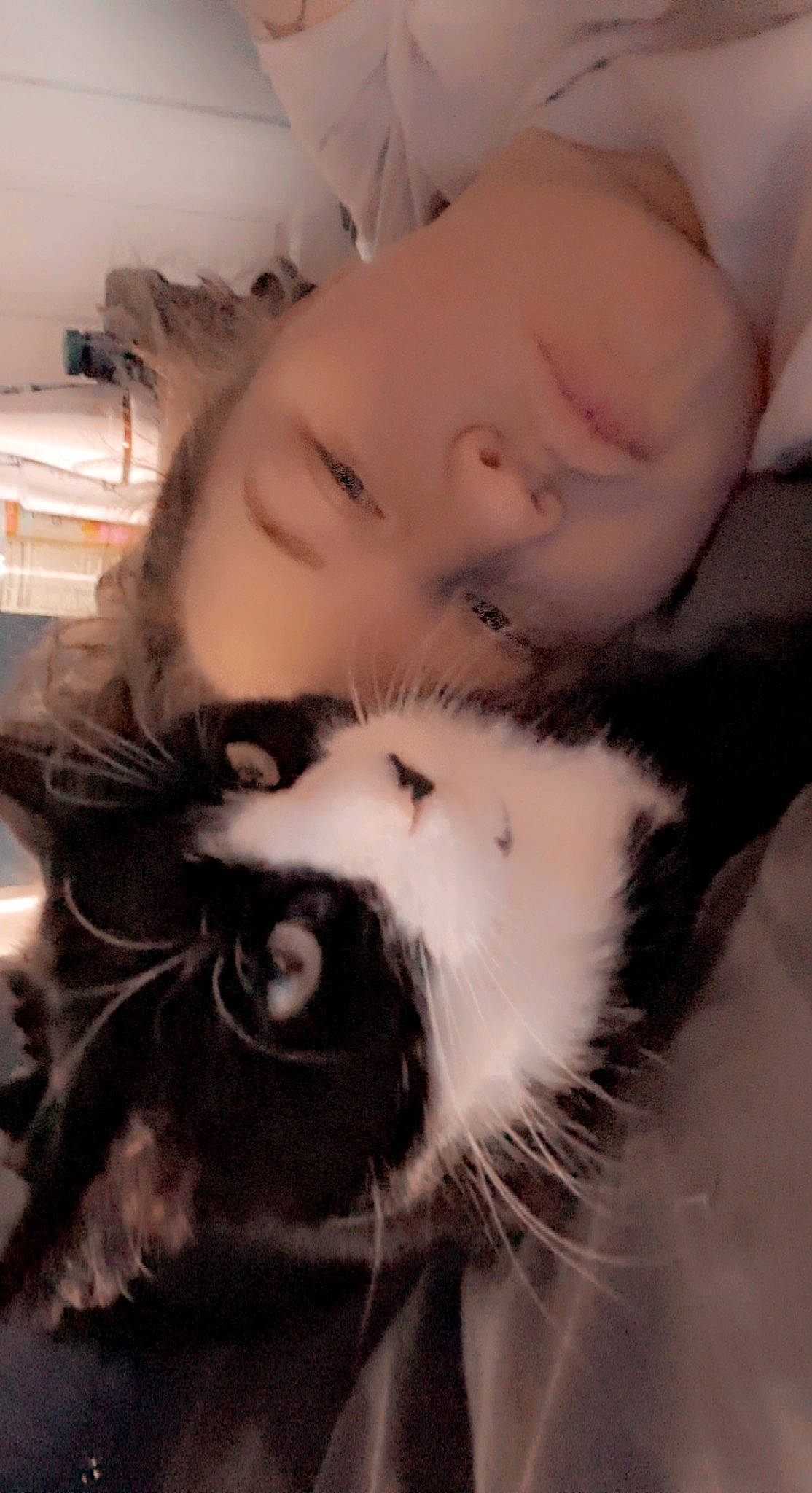 Gemma is registered to the contest to win money with this photo: beard, carnivore, cat, comfort, companion_dog, eyebrow, eyelash, felidae, fur, gesture, happy, iris, jaw, nose, paw, selfie, skin, small_to_medium_sized_cats, snout, whiskers