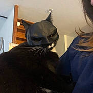 Lipsy participe au concours pour gagner de l'argent avec cette photo : animal, batman_mask, black_and_white, black_cat, cat, close_up, costume, expression, face_mask, feline, funny, fur, holding, home, indoor, mask, person, pet, superhero, whiskers