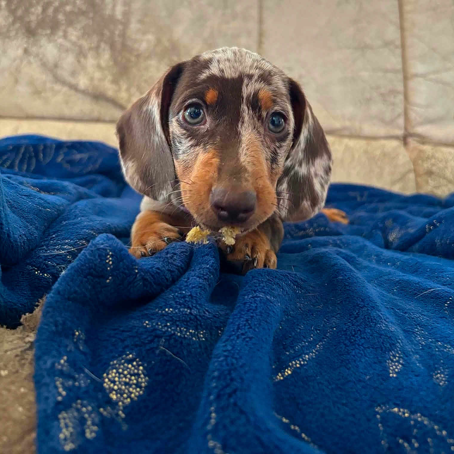 Baïa