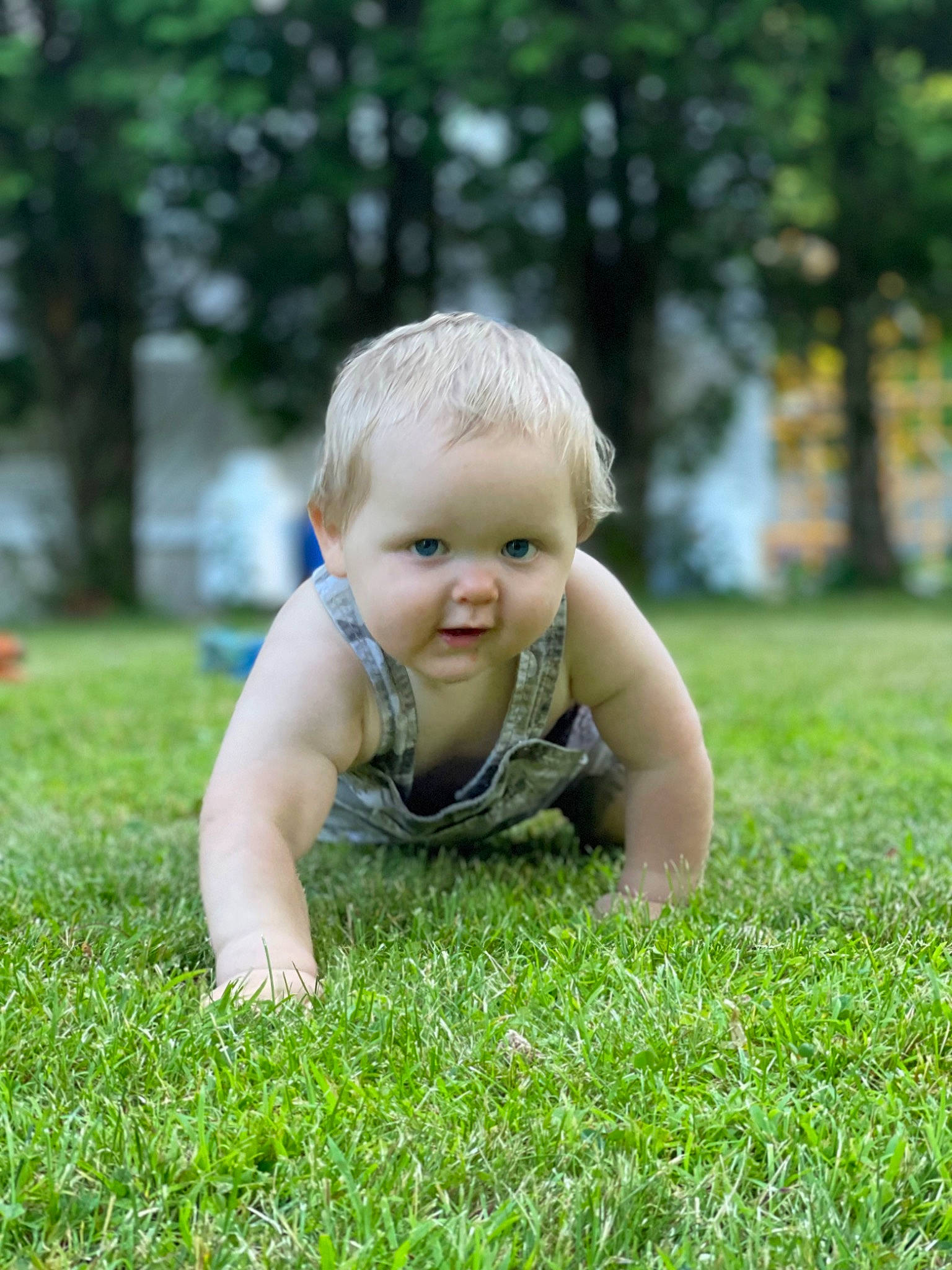 Fabian joined the competition — help win amazing prizes! baby, baby_toddler_clothing, botany, crawling, dress, eye, flooring, grass, grassland, hair, happy, head, leaf, natural_environment, people_in_nature, person, plant, smile, sunlight, toddler