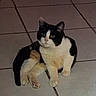 Boo-Boo is registered to the contest to win money with this photo:
