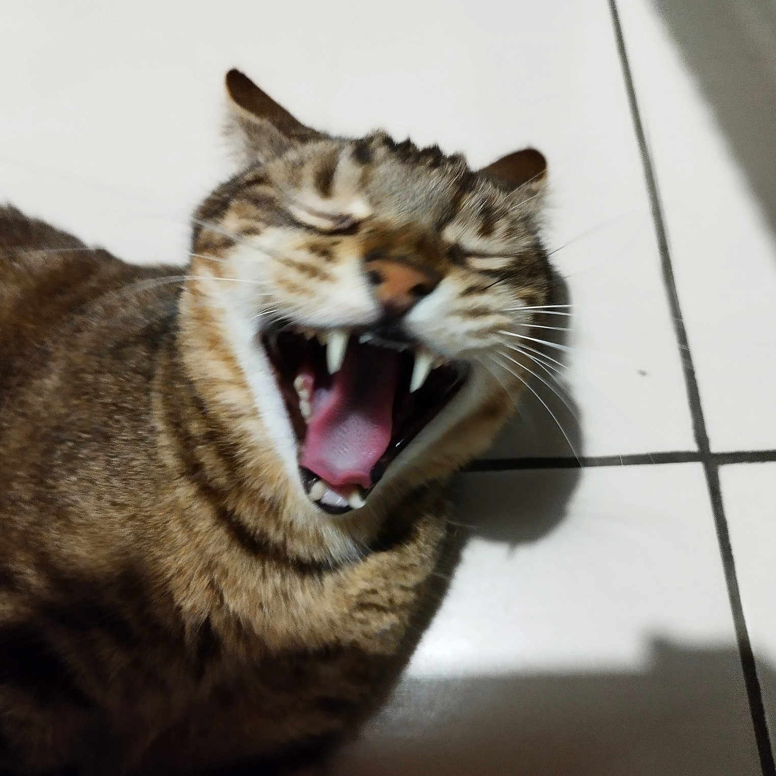 Sam