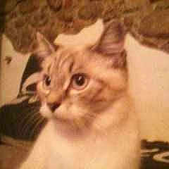 Perle participe au concours pour gagner de l'argent avec cette photo :