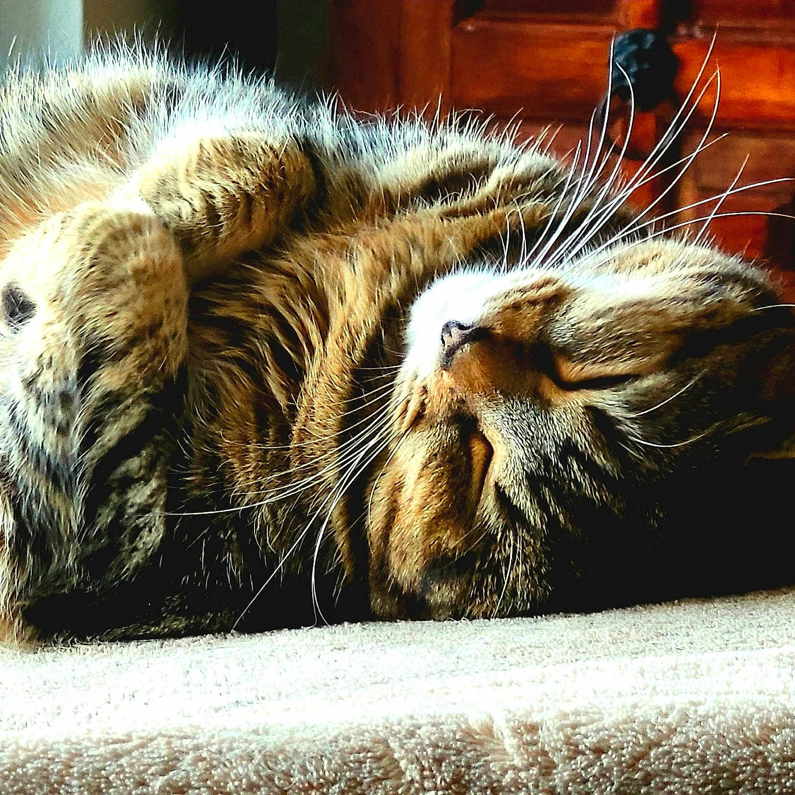 Nala