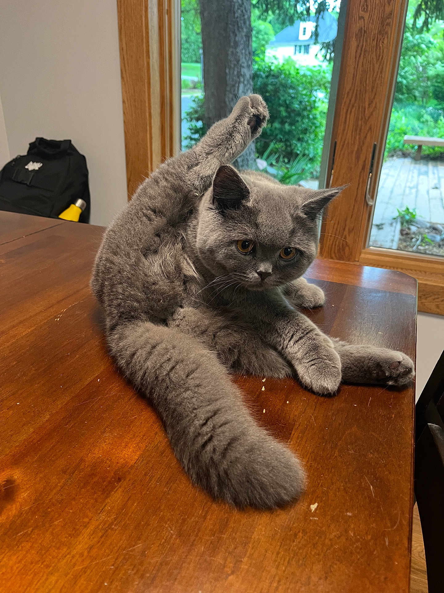 Sir Samuel Smudge