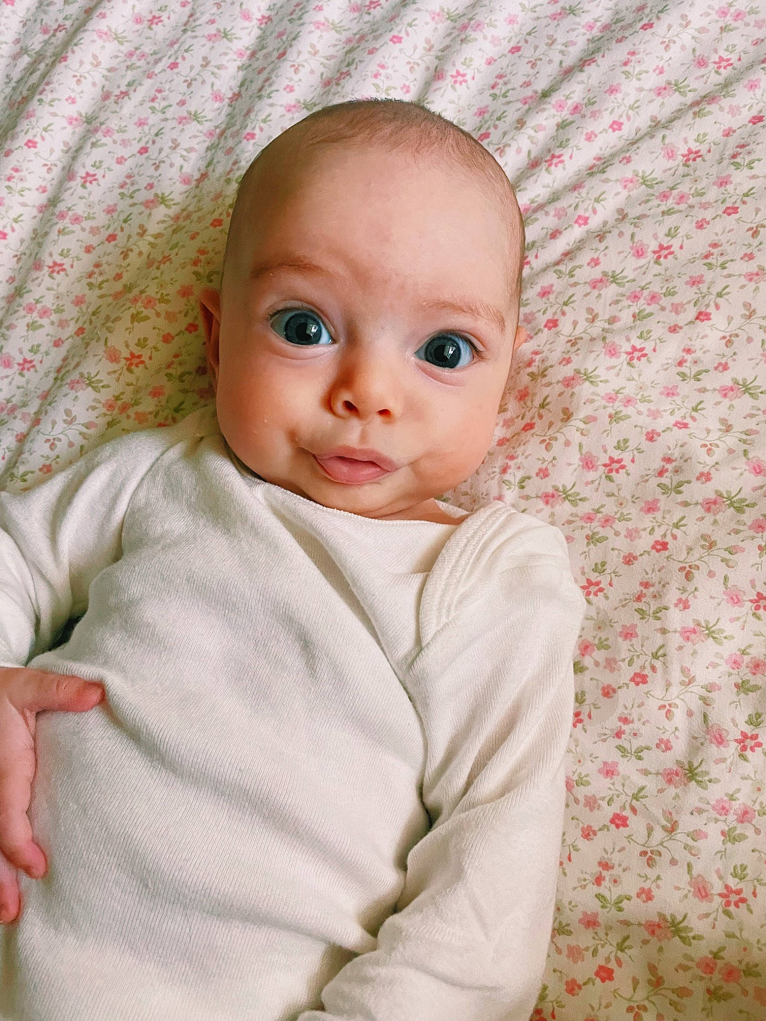 Winona joined the competition — help win amazing prizes! baby, baby_toddler_clothing, cheek, child, comfort, eyelash, fur, iris, linens, lip, nose, peach, person, pink, portrait_photography, skin, sleeve, textile, toddler, wool