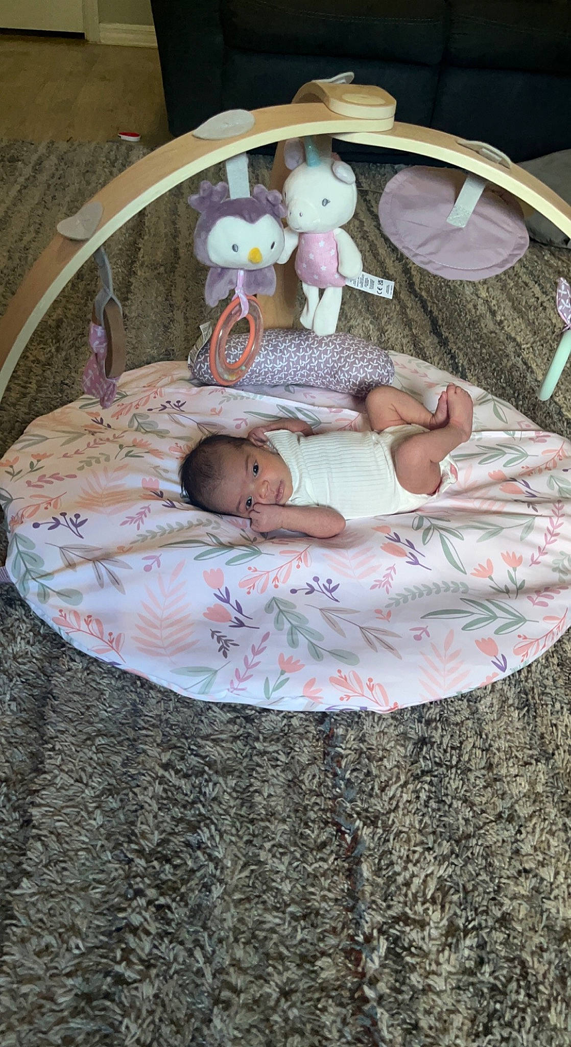 Genevieve is registered to the contest to win money with this photo: baby, baby_products, bed, bed_sheet, bedding, child, comfort, cradle, fawn, grass, infant_bed, linens, pattern, person, pink, room, stuffed_toy, textile, toddler, toy