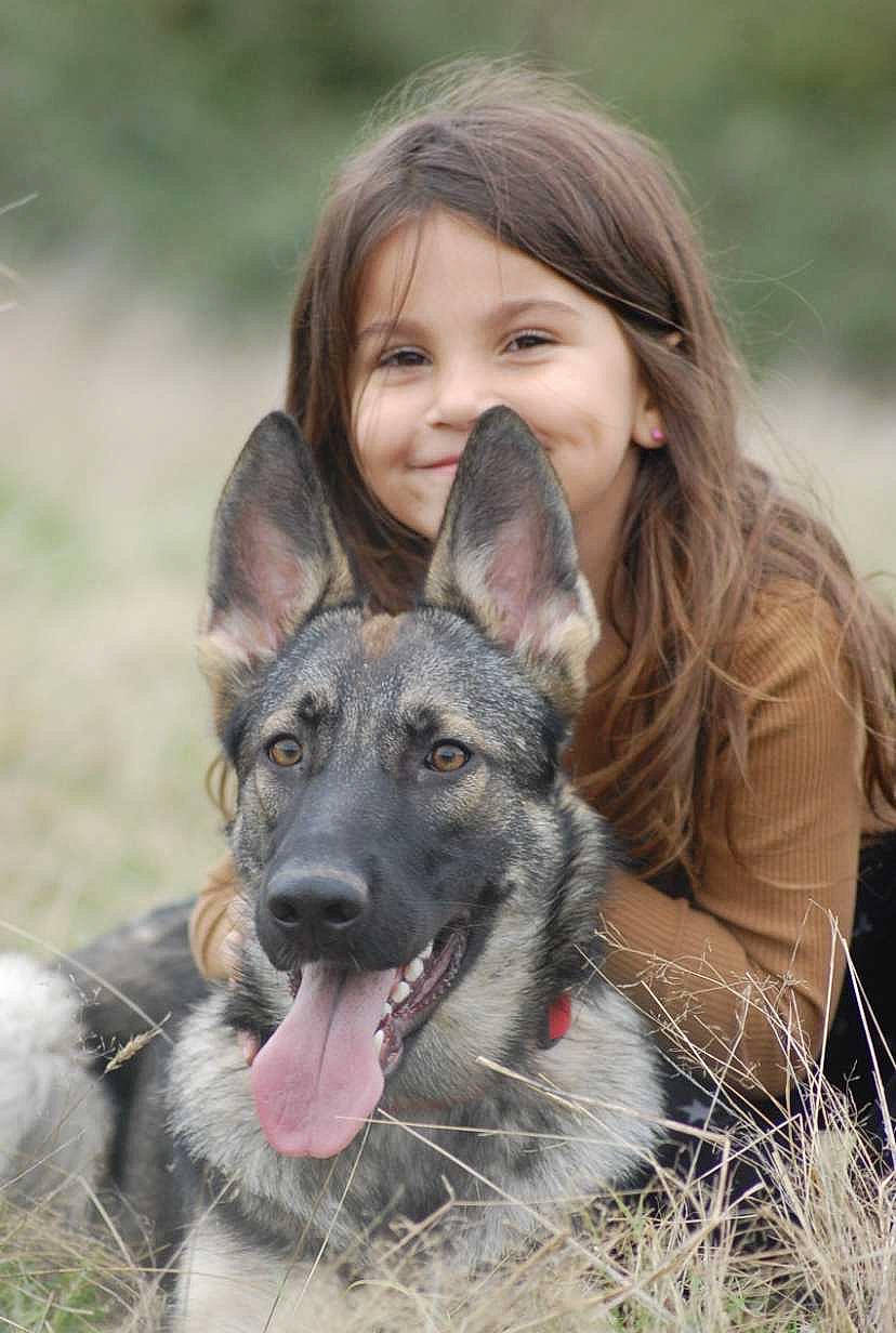 Luna participe au concours pour gagner de l'argent avec cette photo : canidae, carnivore, companion_dog, dog, dog_breed, east_european_shepherd, fun, fur, german_shepherd_dog, grass, happy, herding_dog, joy, people_in_nature, person, photograph, plant, recreation, sitting, smile