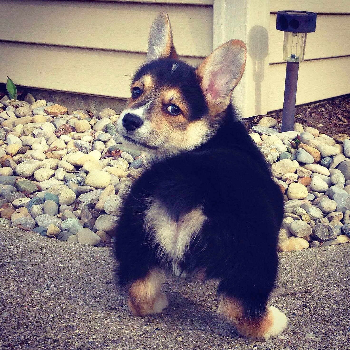 Stanley joined the competition — help win amazing prizes!