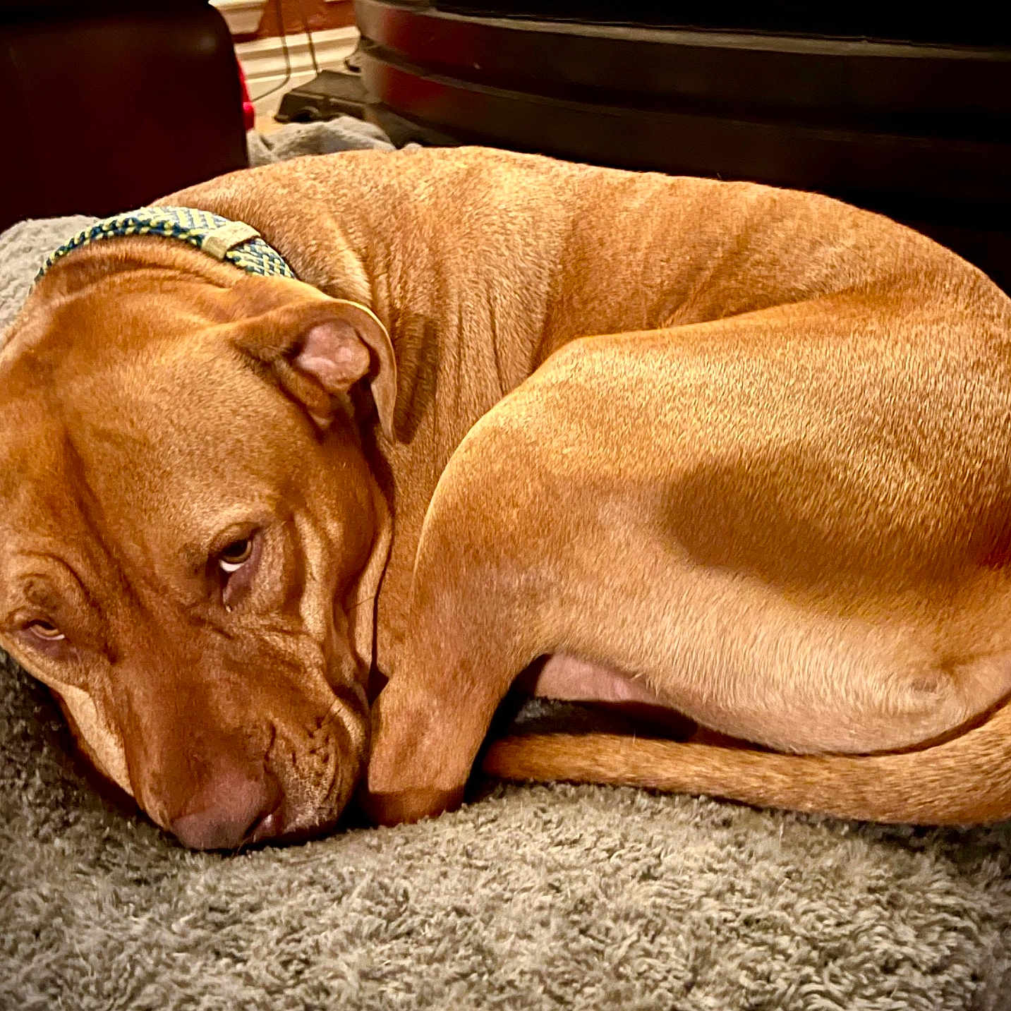 Beau