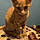 Tigger