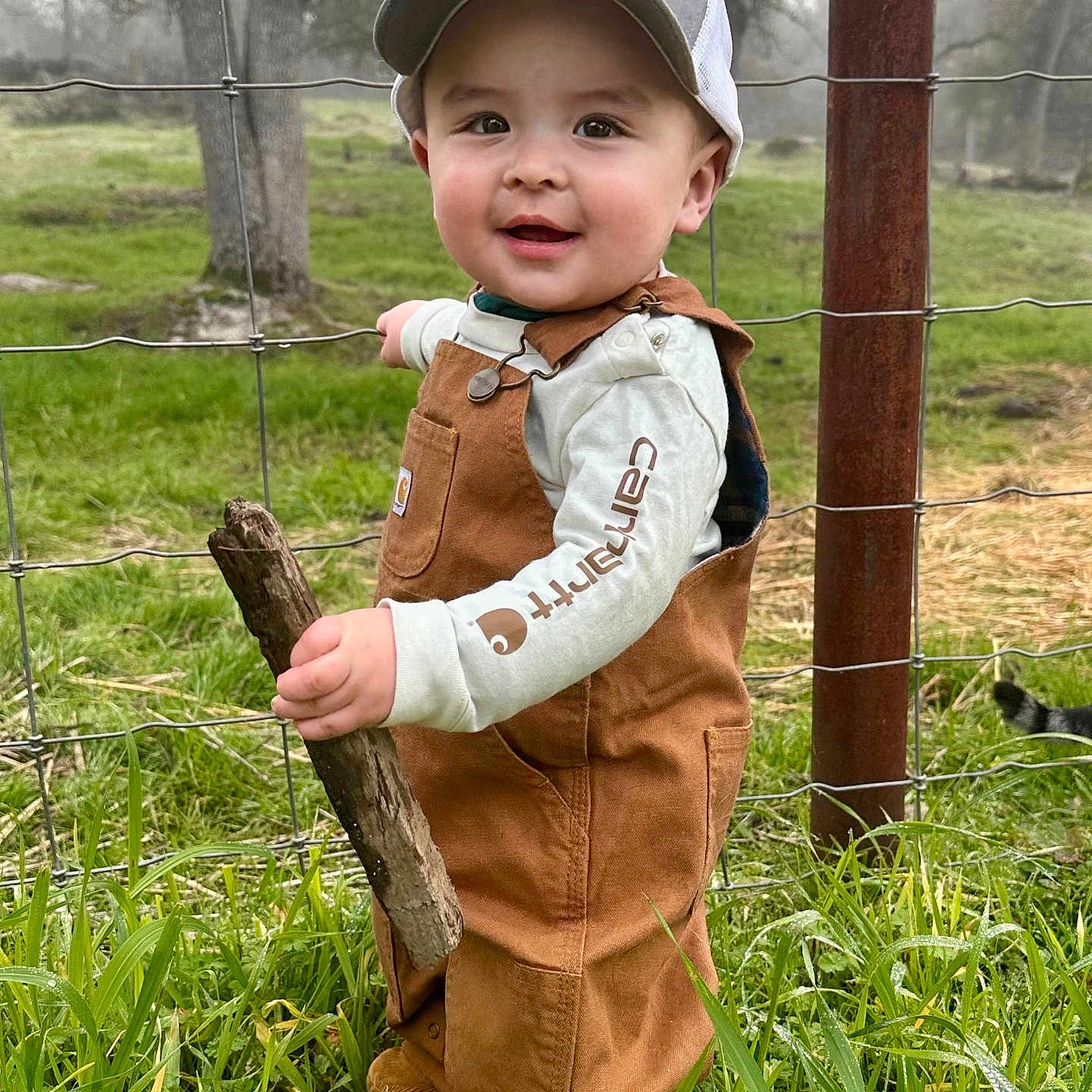 Hayes joined the competition — help win amazing prizes! baby, cap, child, clothing, cute, daylight, exploring, fence, field, grass, greenery, nature, outdoor, overalls, person, portrait, smiling, stick, toddler, tree