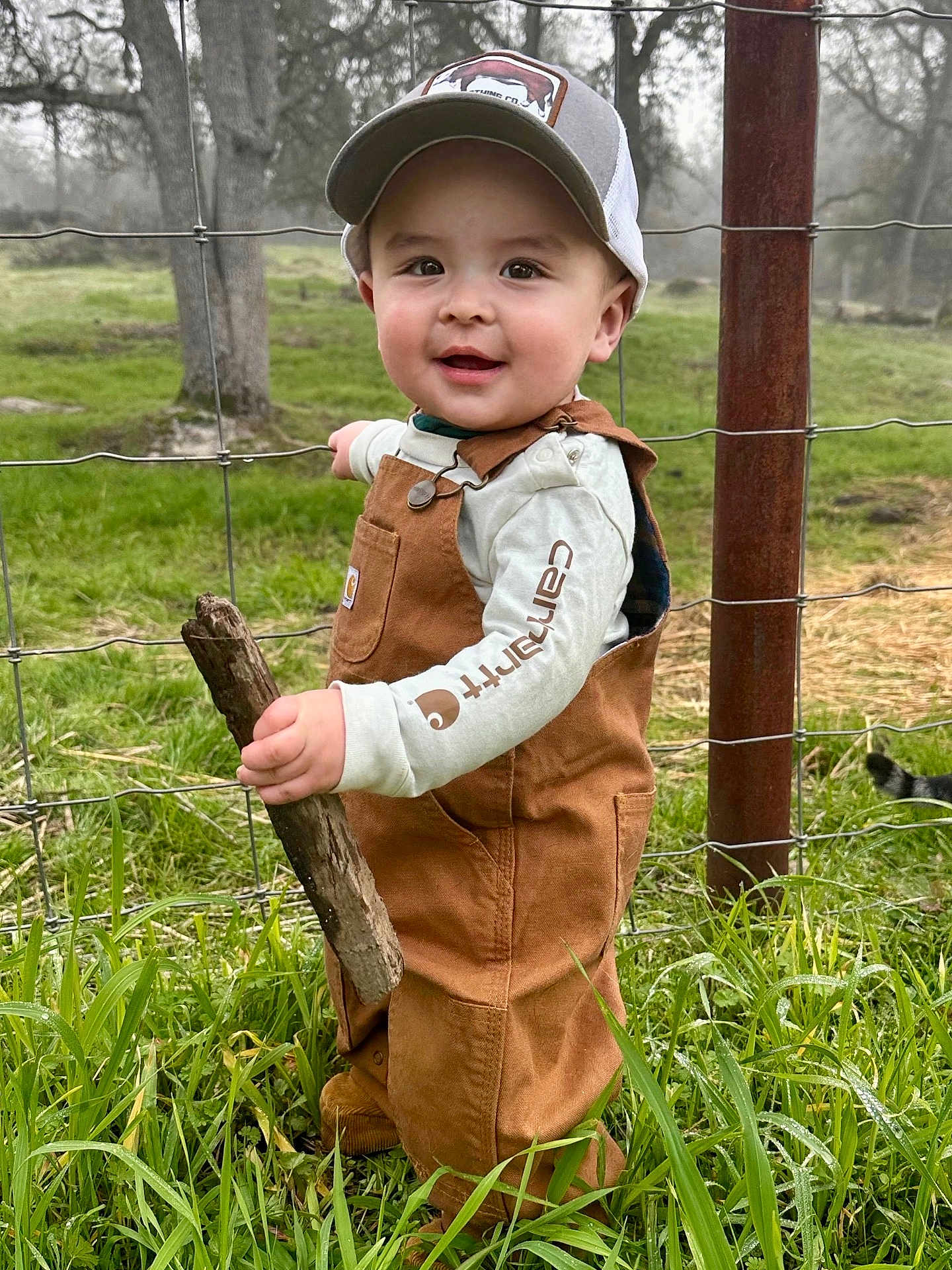 Hayes joined the competition — help win amazing prizes! toddler, child, grass, stick, overalls, cap, outdoor, fence, field, tree, nature, person, cute, smiling, baby, greenery, daylight, exploring, clothing, portrait