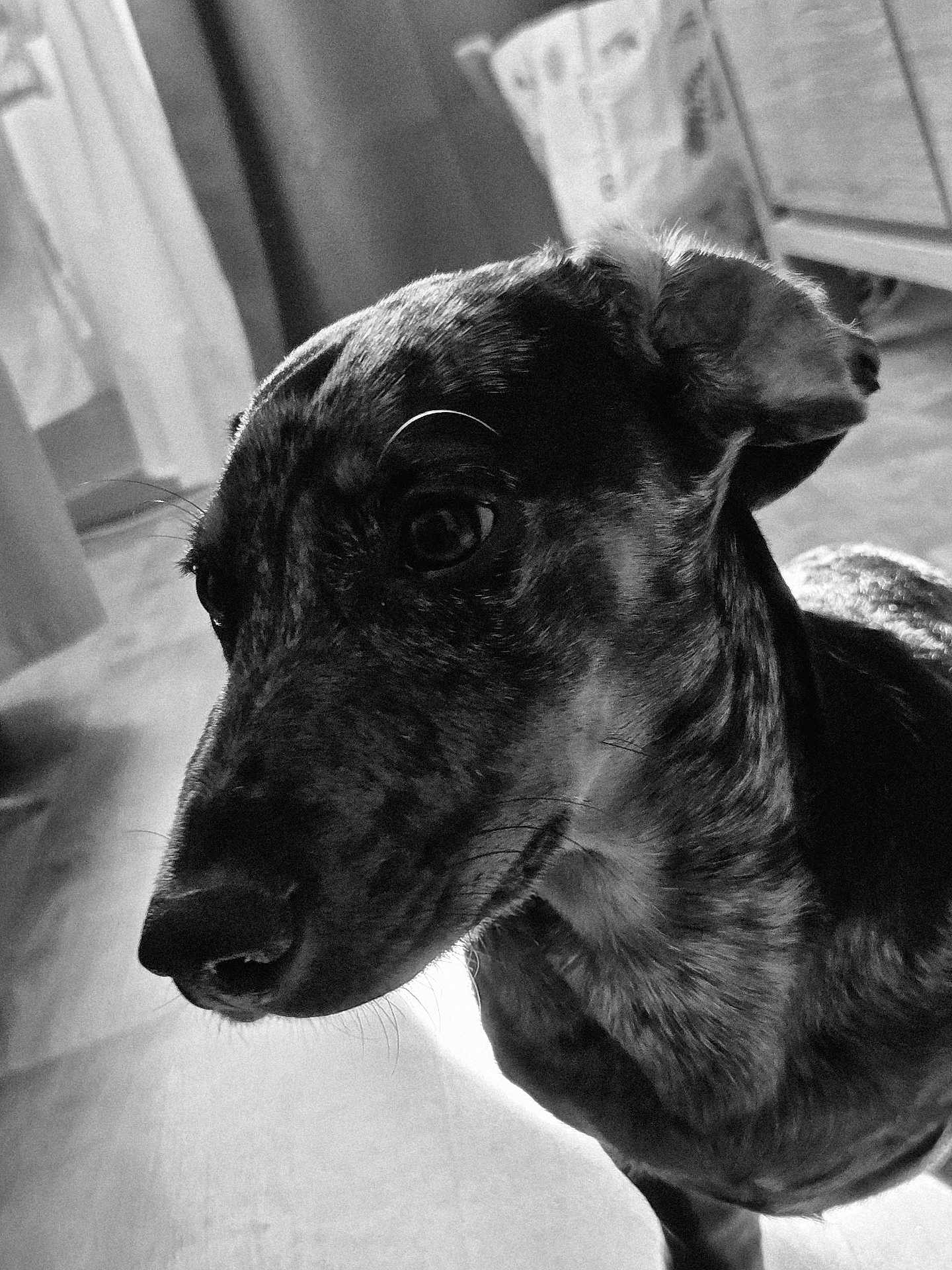 Ares