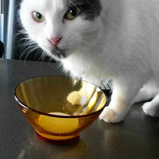 Nalla