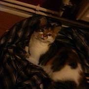 Narla joined the competition — help win amazing prizes!