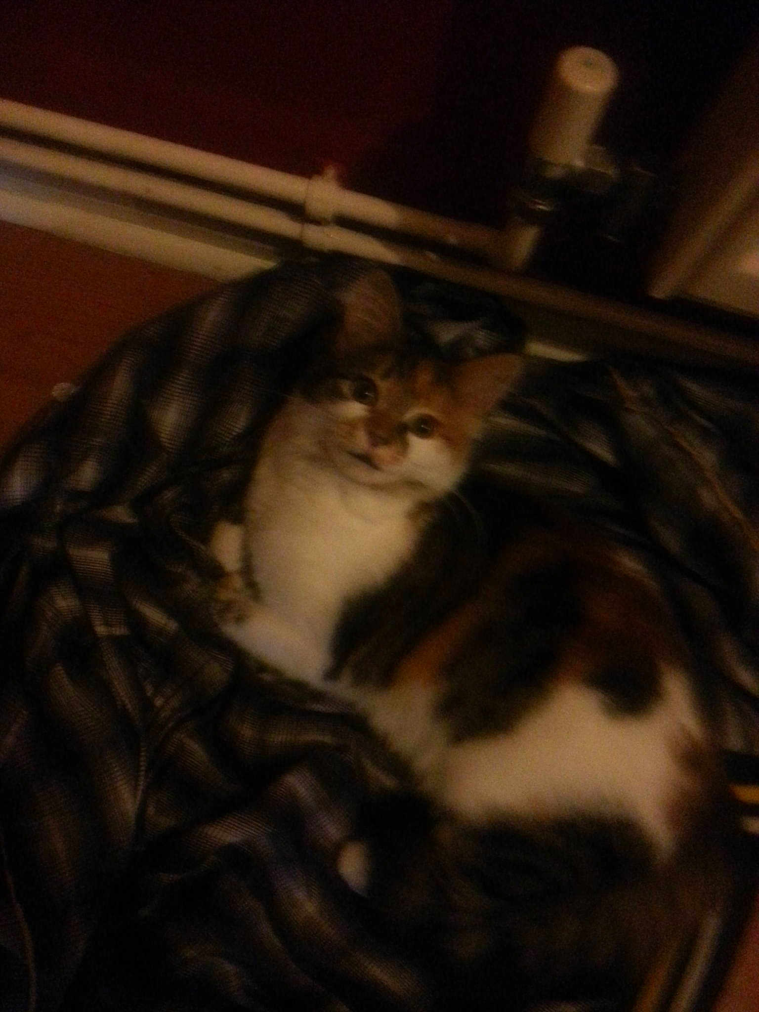 Narla